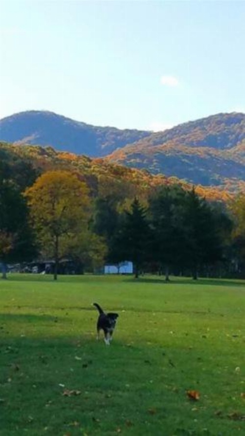 Amos`s Willow Bend Stone Cottage image 37